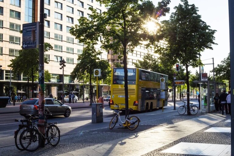    Фото: Общественная Служба Новостей Софья Чулкова