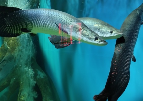 Фотография из личных архивов автора