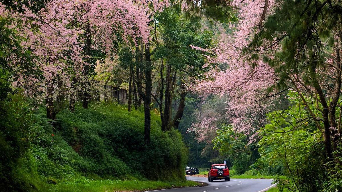 Фото: cntraveller.in