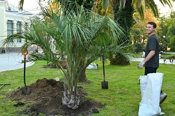 Фото: Telegram/Сочи Официальный  📷
