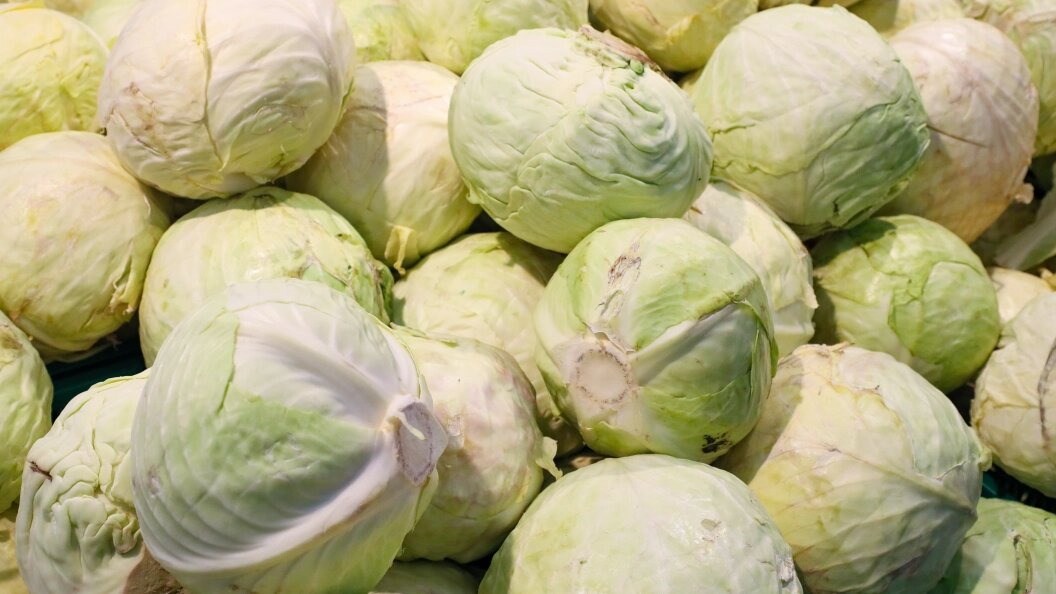    Фото: Petrov Sergey/Globallookpress