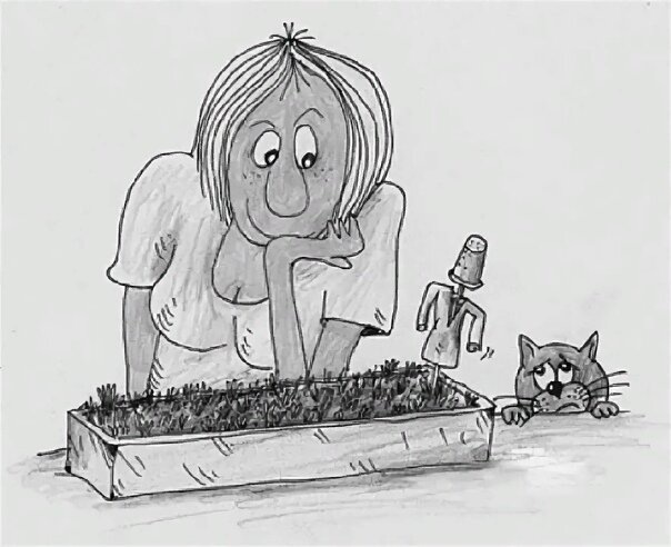 Яндекс картинки