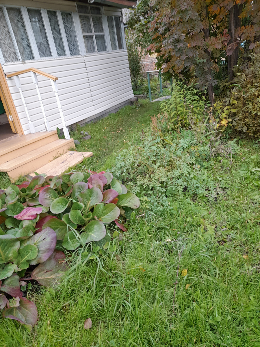 Фото автора. Дача – личный санаторий и тренажёрный зал