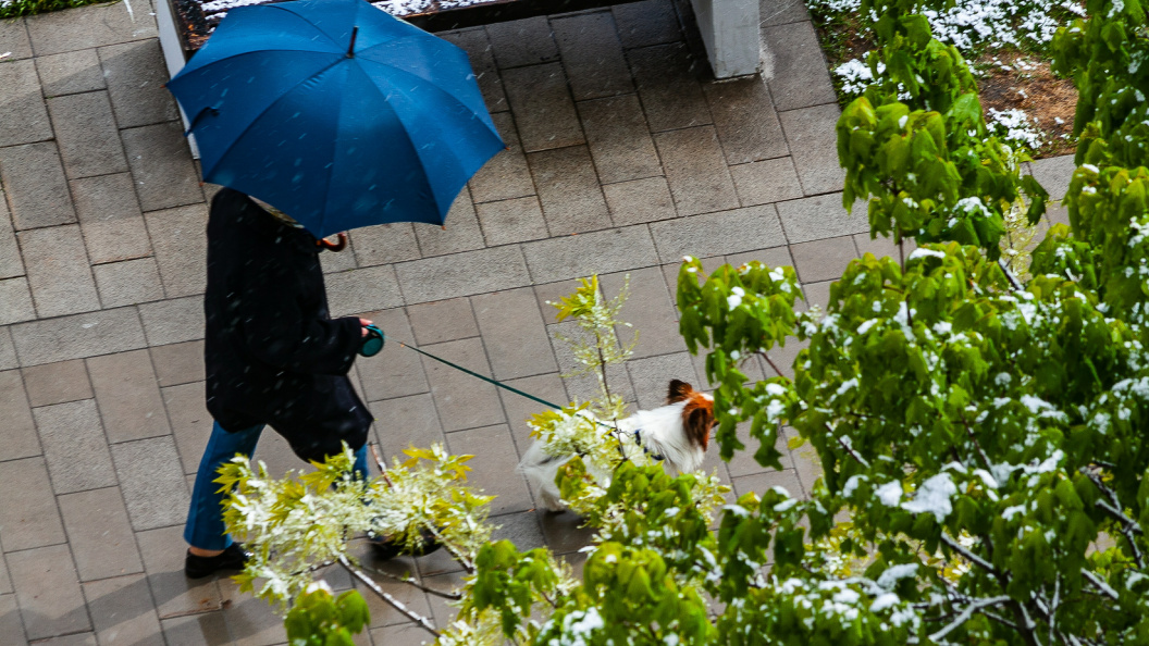    Roman Denisov/Globallookpress