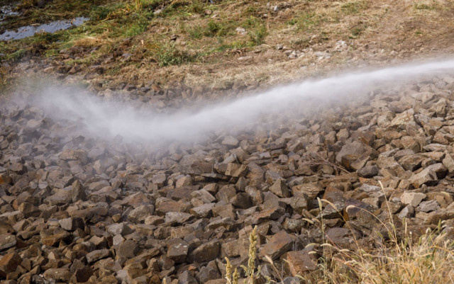 Фото: Ольга Мартынова