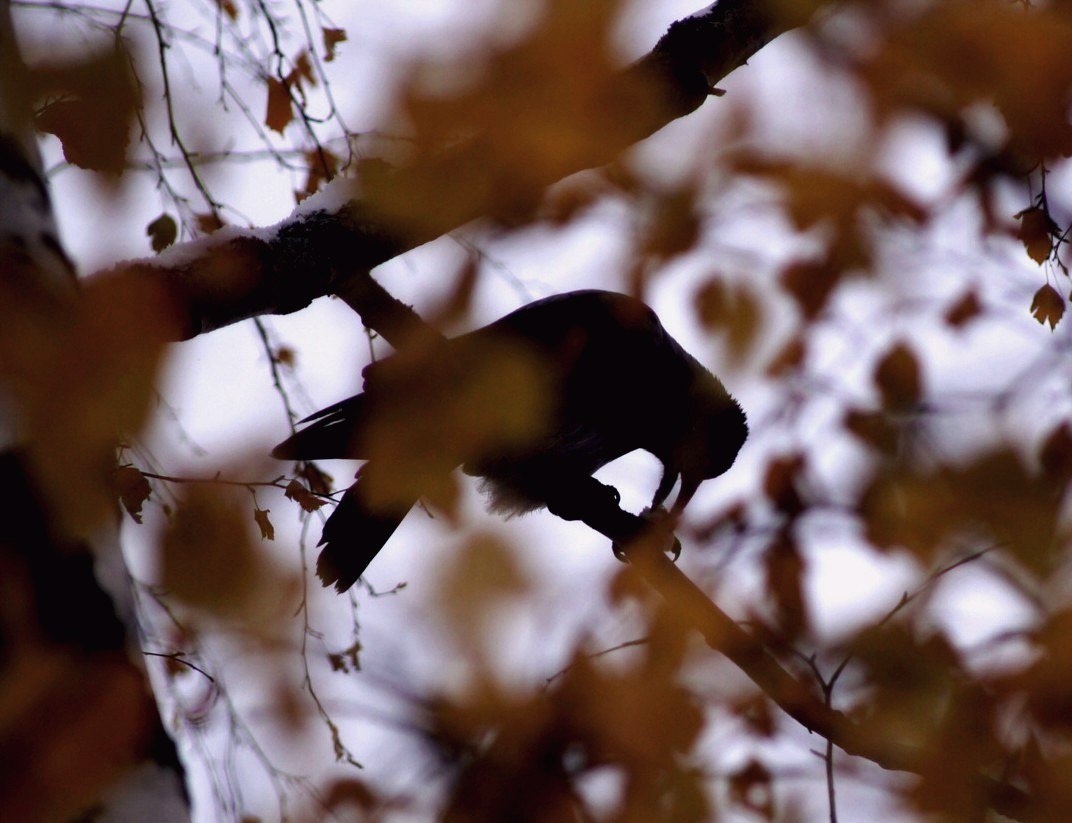 Все фото авторские. 