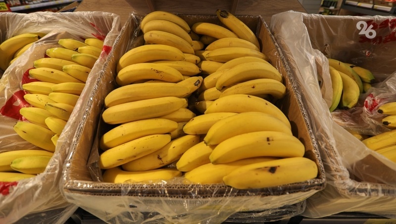      Фото: Дмитрий Ахмадуллин / / ИА «Победа26»