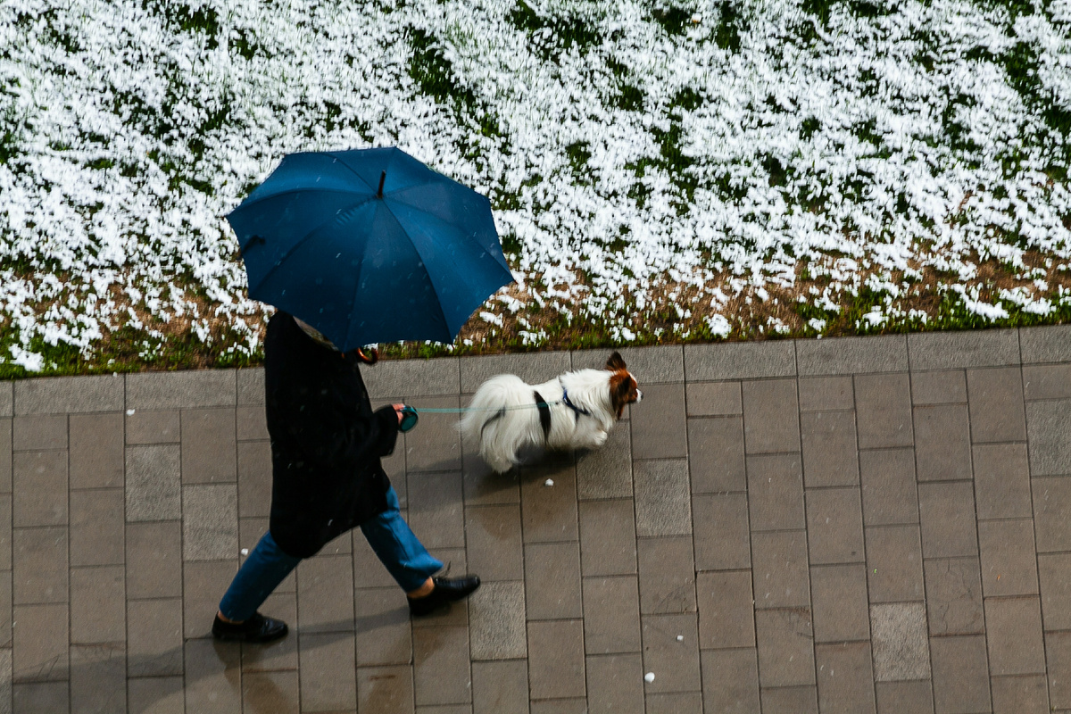 Roman Denisov/Global Look Press