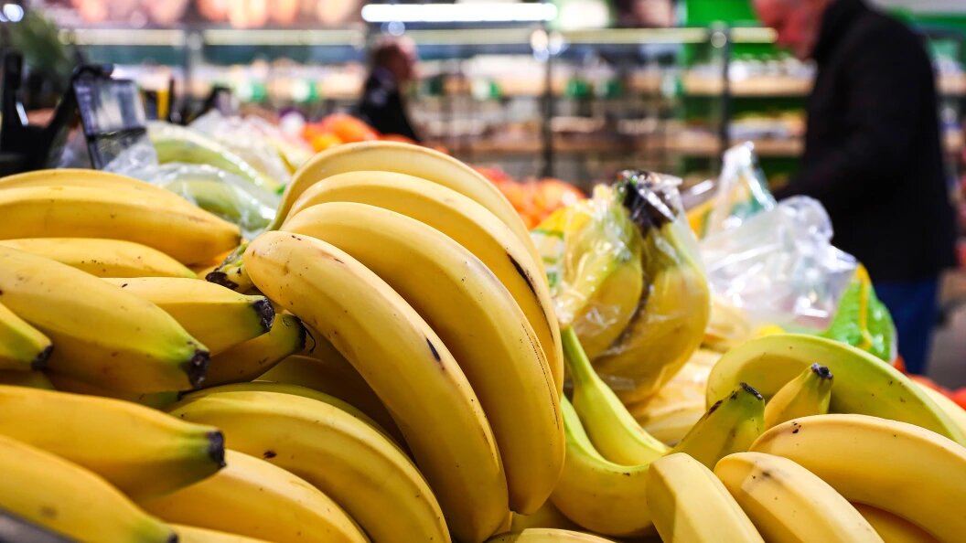    Фото: Razmik Zackaryan/URA.RU/Globallookpress