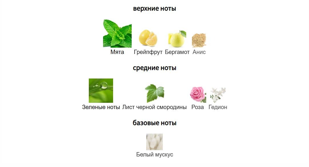 fragrantica.ru