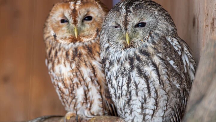 Фото: Komsomolskaya Pravda/Globallookpress