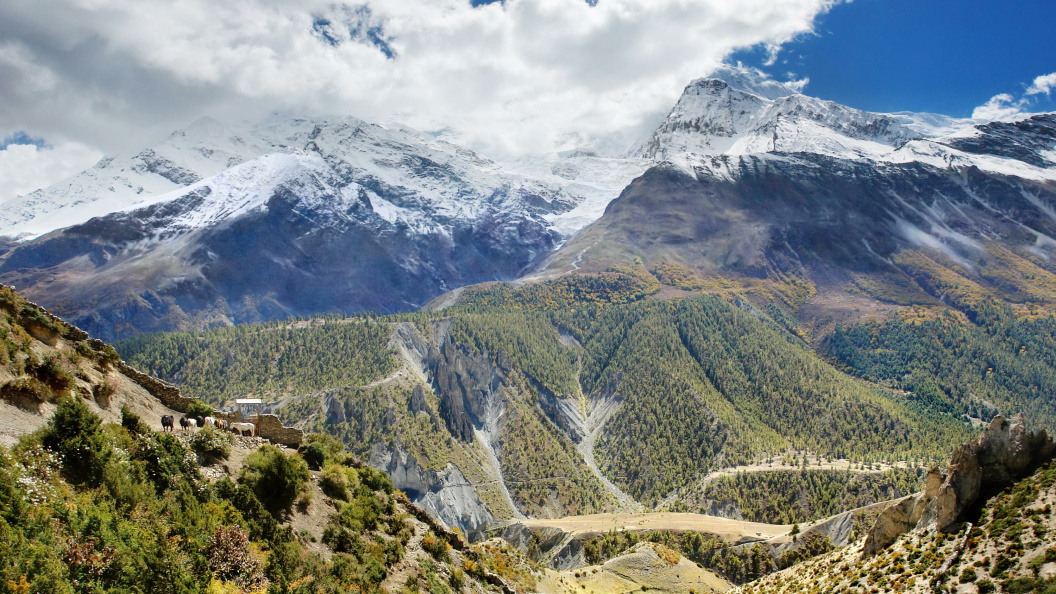    Фото: Sergey Malkov/Russian Look/Globallookpress