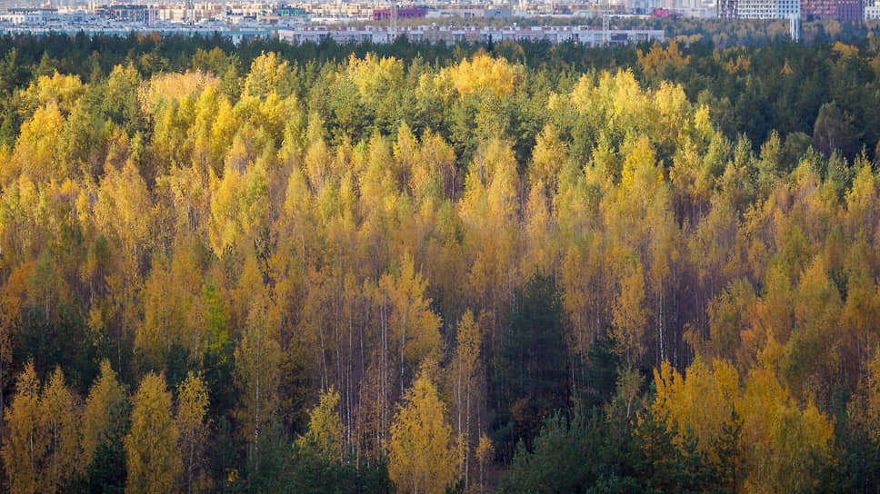 Фото: Евгений Павленко / Коммерсантъ