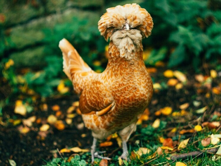     Фото: Sarah Halliday/unsplash.com