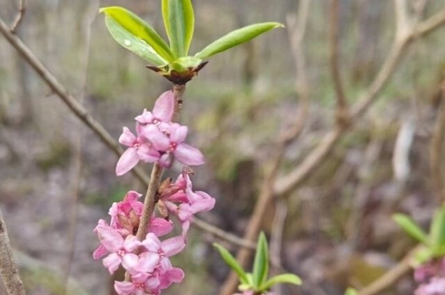    Фото: Каждой твари по паре / Павел Глазков/ Павел Глазков