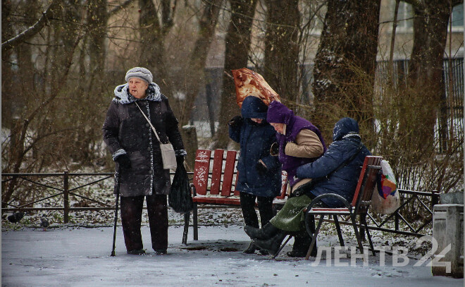    © Анастасия Илюшина / ЛенТВ24