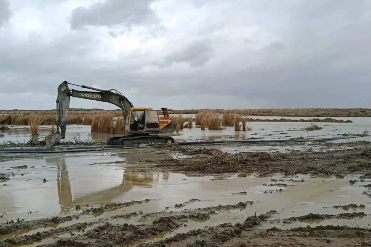    Озеро Аджи (Папас) расчистили на площади 50 гектаров в Дагестане