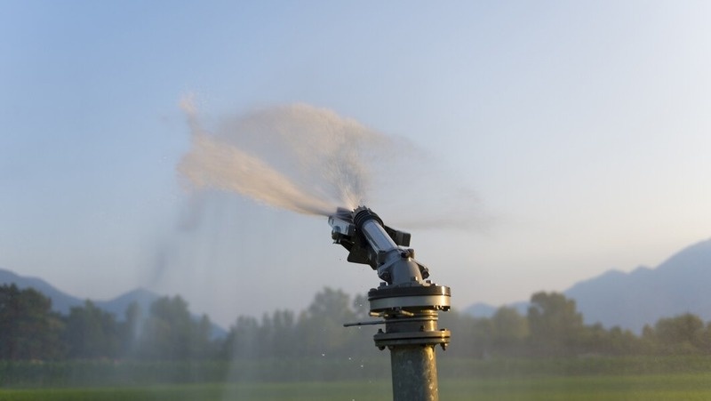      Фото: фотобанк ru.freepik.com