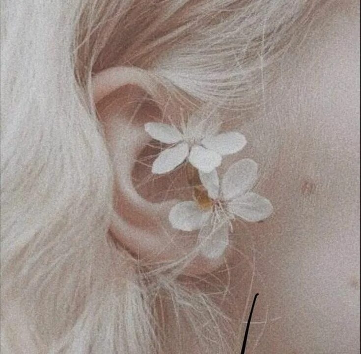 Яндекс картинки