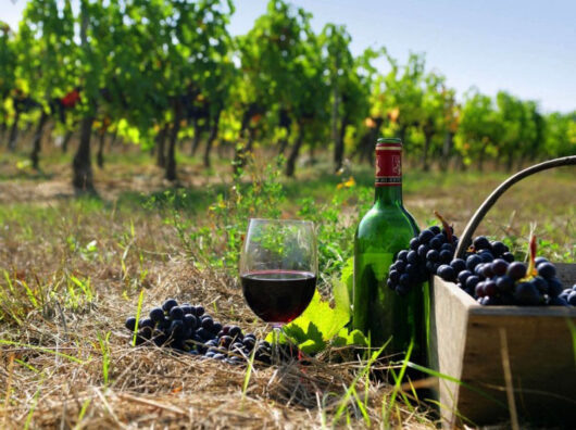    //Фото: araratour.com