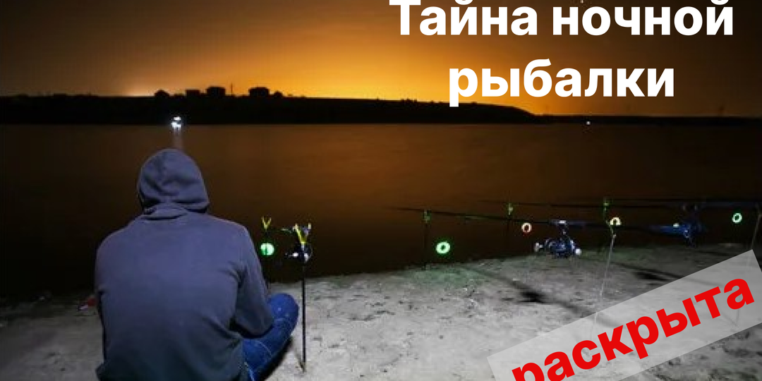 Раскрыта правда о 'ночной рыбалке': Что действительно происходит в темноте (не для слабонервных)