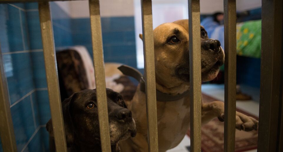    Медиасток.рф