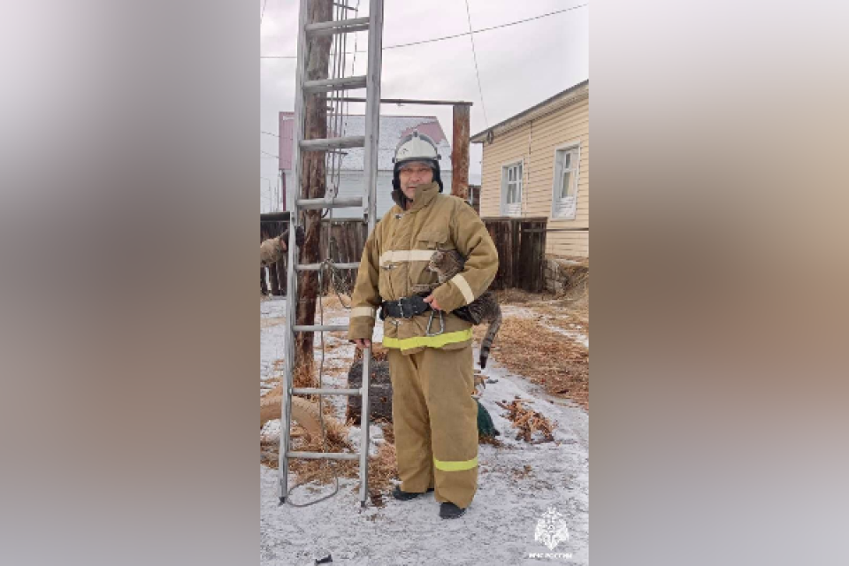    Пожарные помогли коту в селе Кош-Агач. Источник: МЧС Республики Алтай