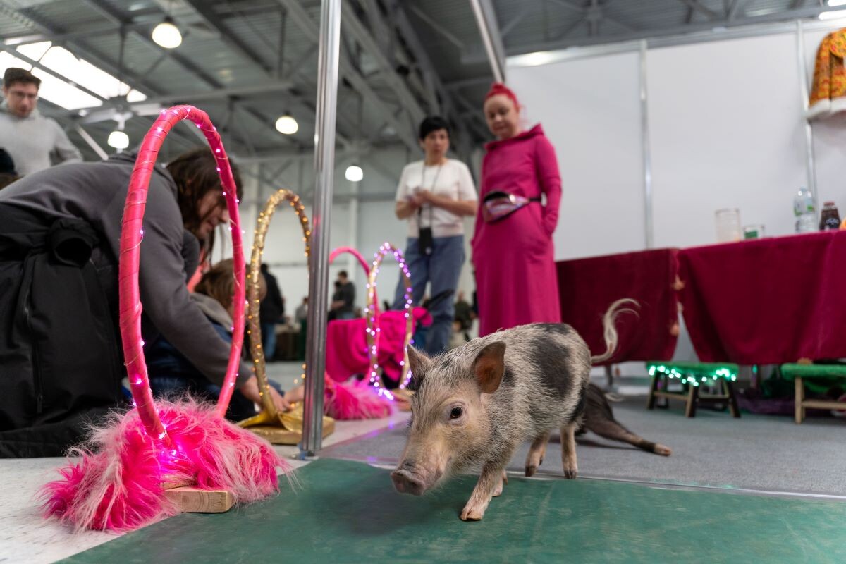 Фото: Александр Плонский / «ВиЖ»