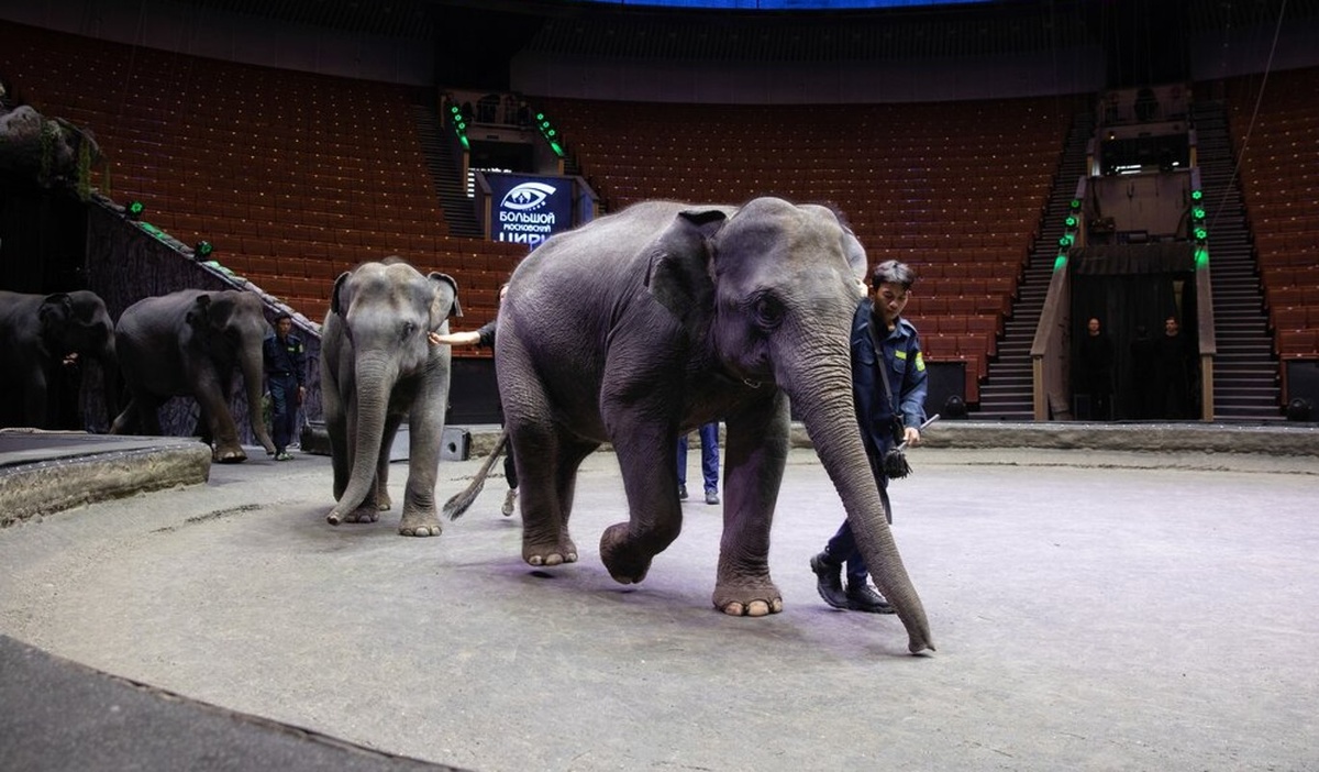    Фото: агентство городских новостей "Москва"
