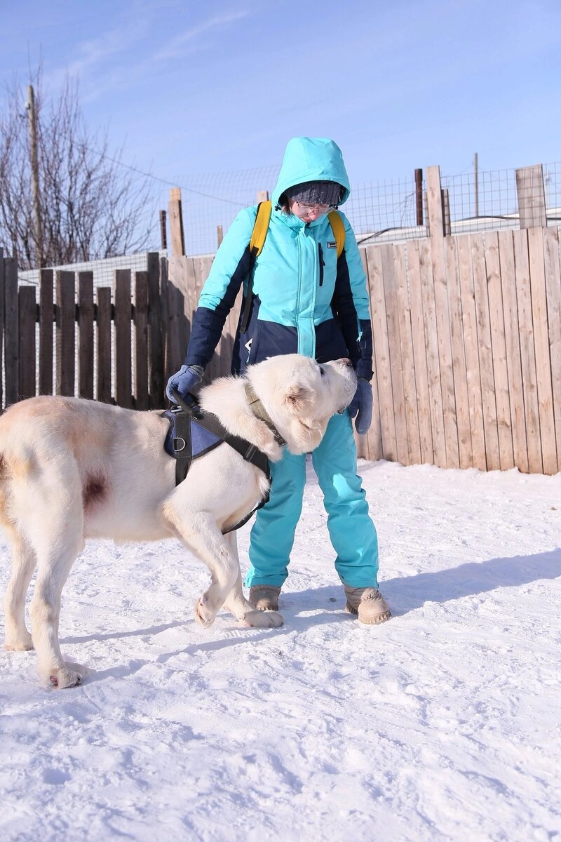 Балу очень большой