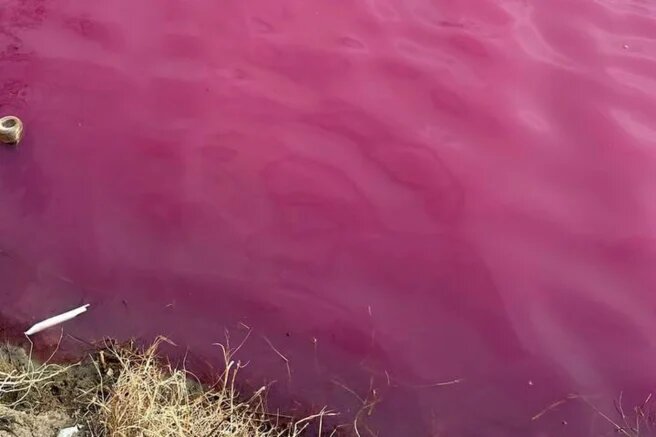    Фото: t.me/krd_4mr