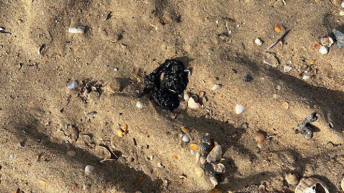    Фото: Оперативный штаб Краснодарского края