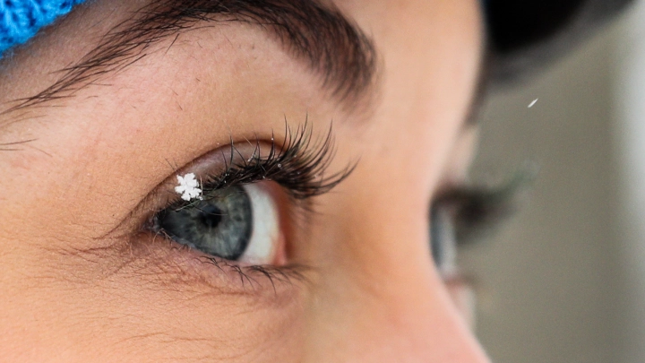 Фото: Bulkin Sergey/Globallookpress