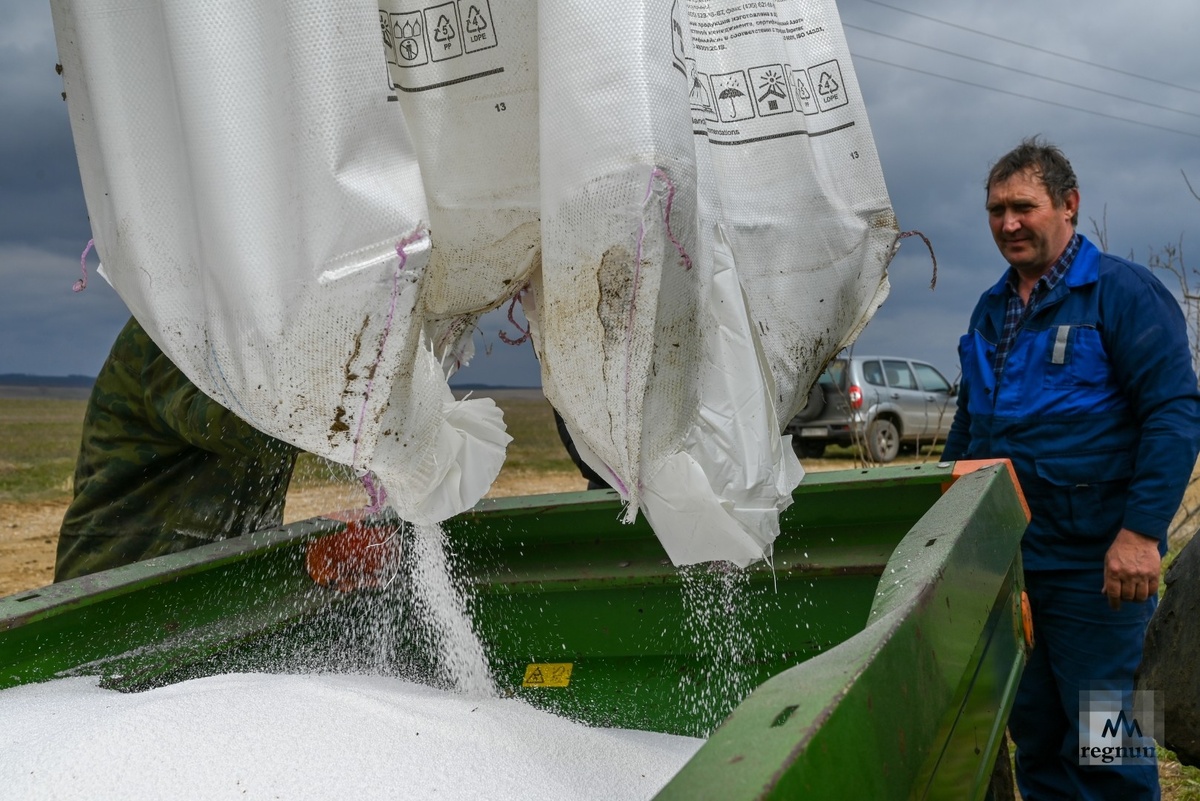     / Источник: Александр Погожев © ИА Регнум