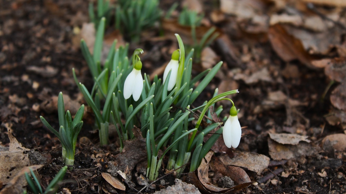 Фото: vk.com/rzn_dbg_62