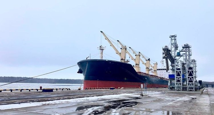    Экспорт российского зерна растет с высокими стандартами фитосанитарии