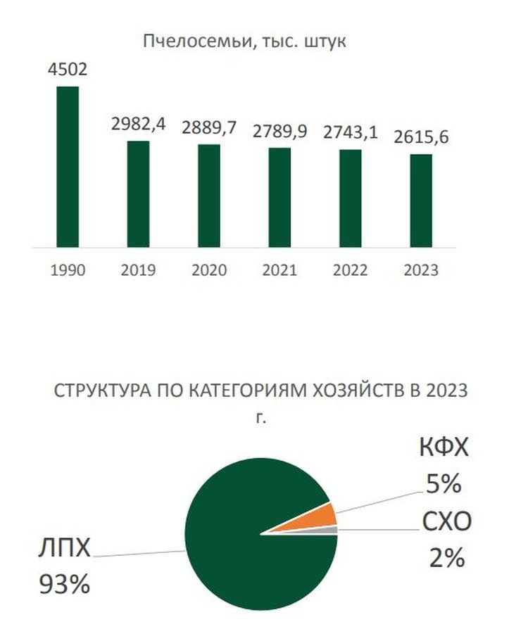     Проблему сокращения пчелосемей в России озвучил Владимир Кашин
