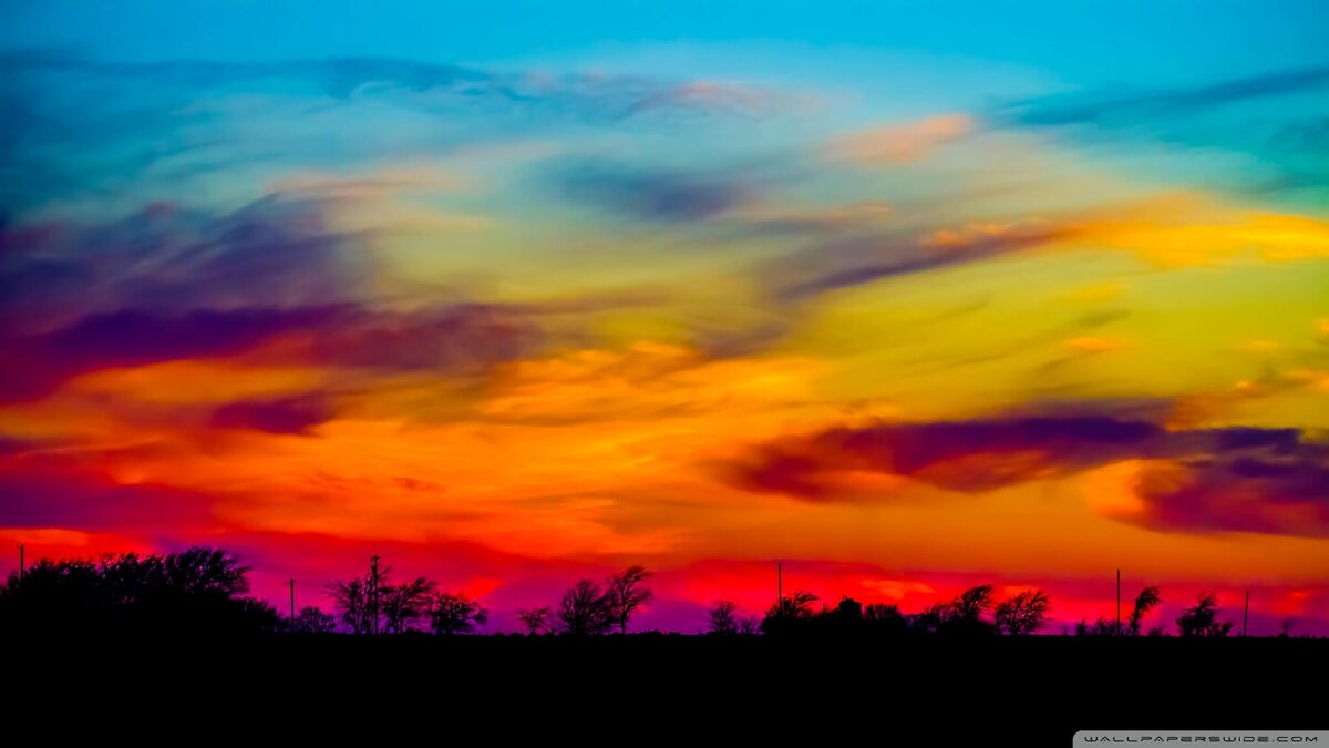    Большинство специалистов по зрению и цветовосприятию считают, что синий — самый редкий цвет в природе. Источник изображения: your-perfection.ru