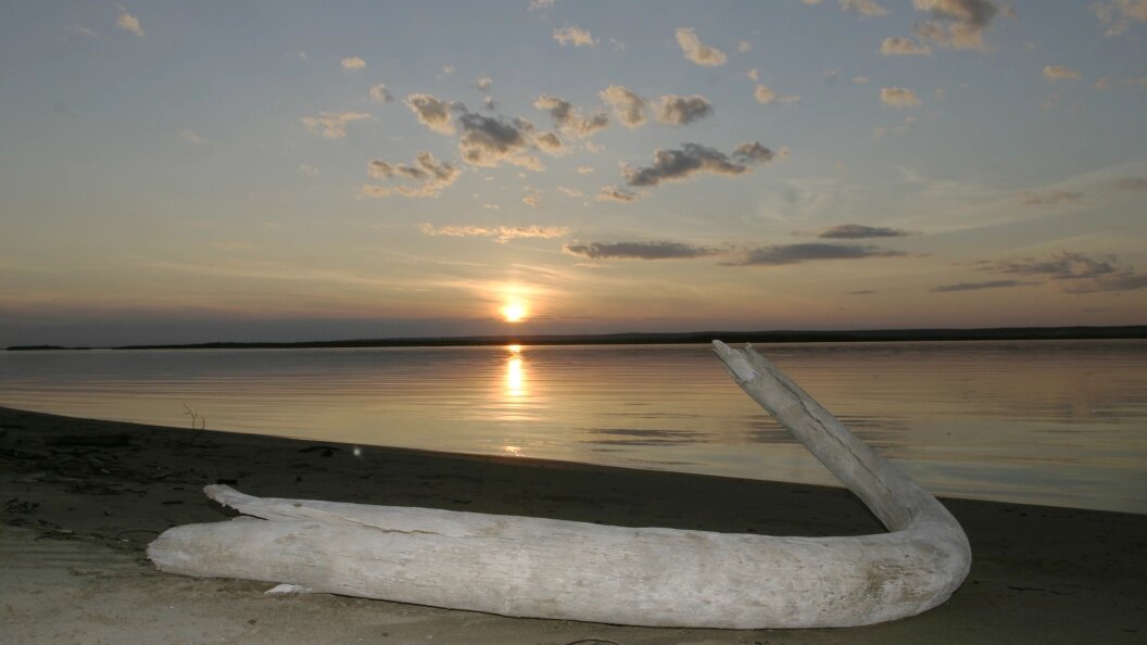    Фото: Konstantin Mikhailov/Russian Look/Globallookpress