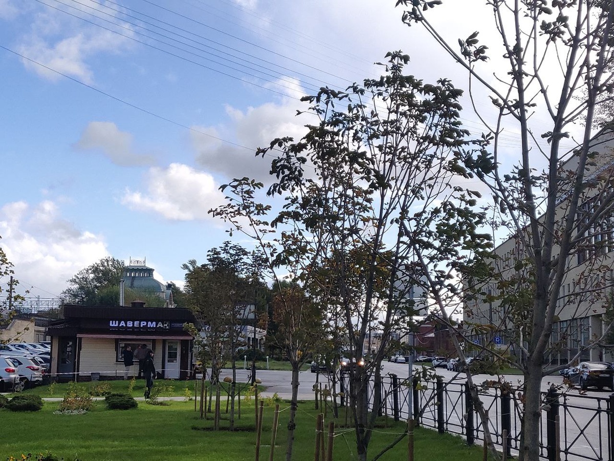 Вид на ул. Введенский канал, Санкт-Петербург Фото автора