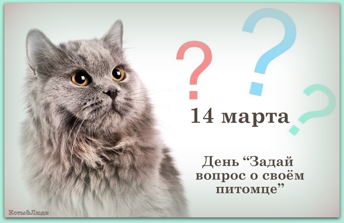 Коллаж автора