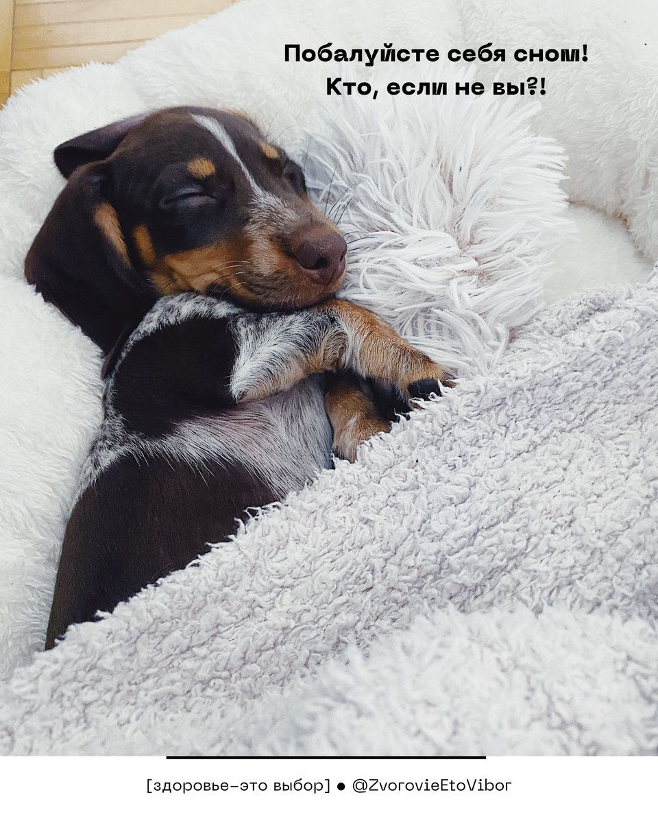 Здоровье – это выбор @zdorovieetovibor – Ложитесь спать вовремя!