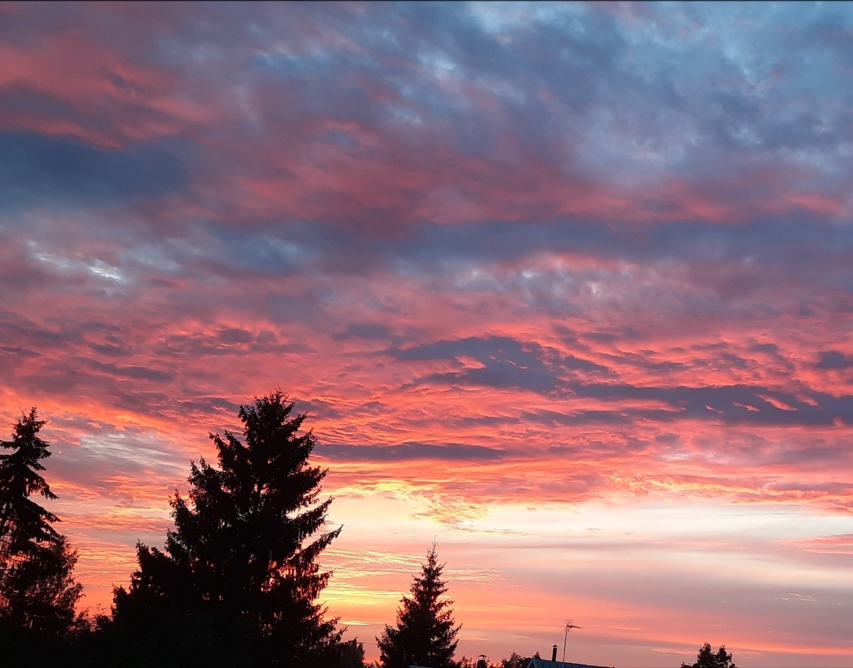 Стихи для родителей