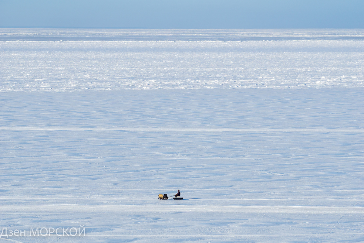  Мотособака едет по Белому морю. Февраль 2025 года. 