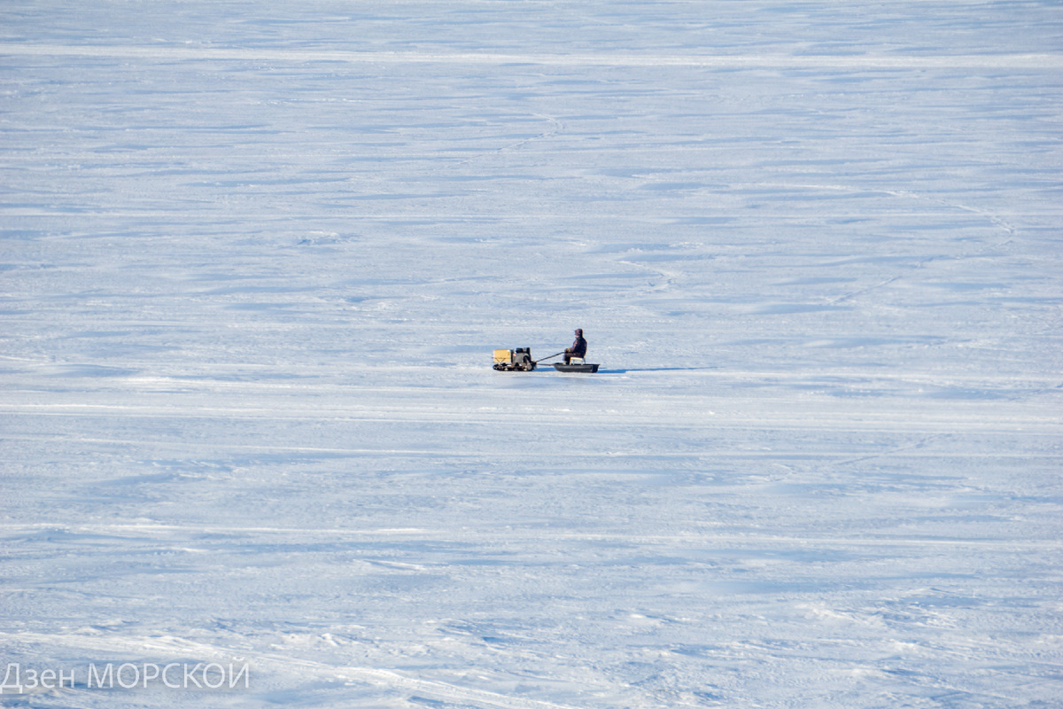 Мотособака едет по Белому морю. Февраль 2025 года. 