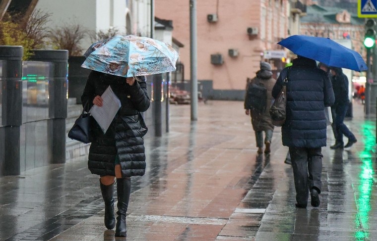    Наталья Шатохина/NEWS.ru