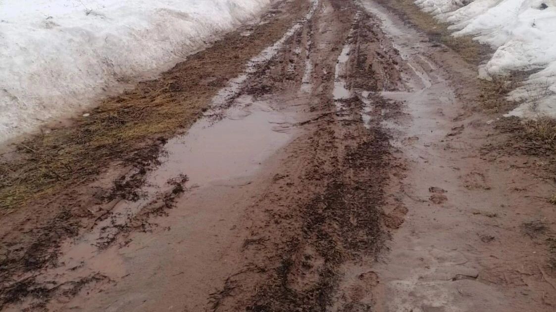     Источник: vk.com/Александр Бречалов