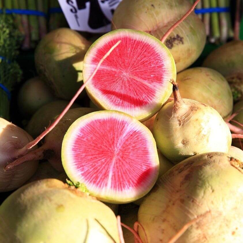 Santa Fe Farmers’ Market