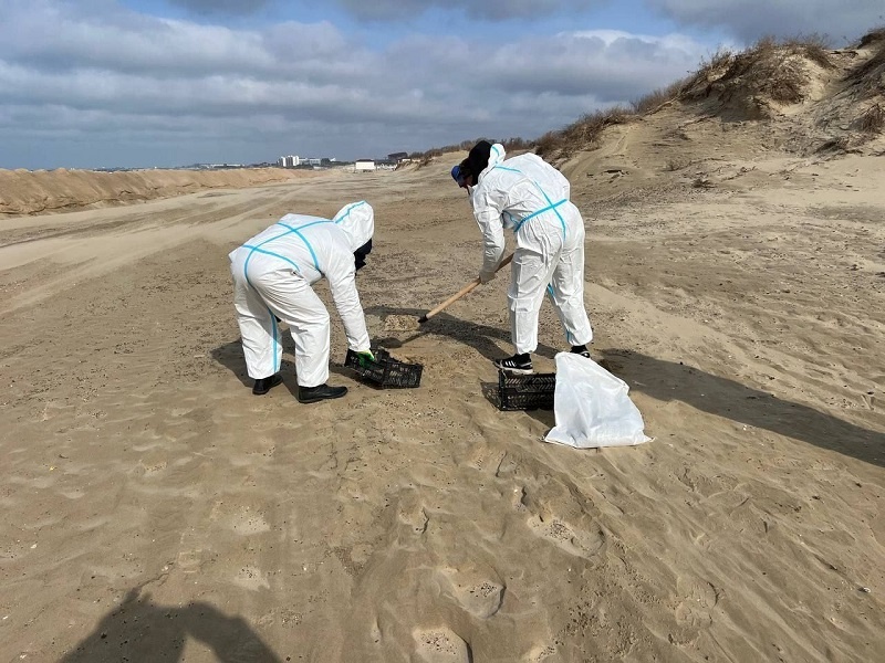    Фото: пресс-служба администрации Краснодарского края