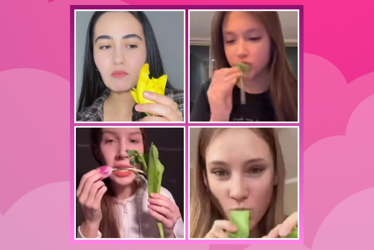 коллаж автора